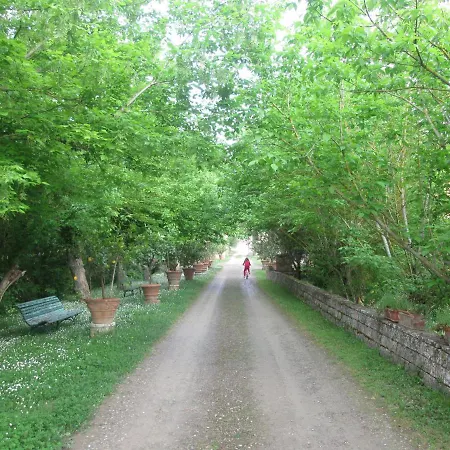 Ginestra Appartement