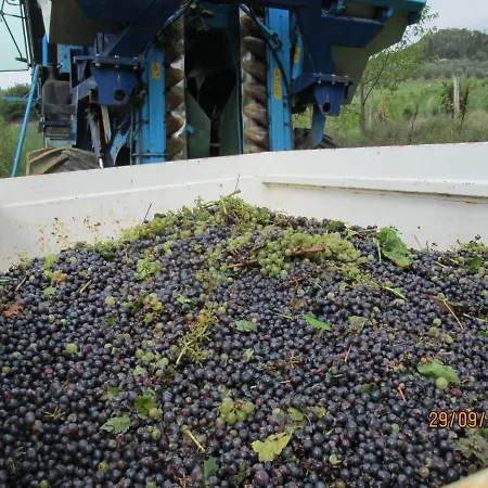 Ginestra Lägenhet *