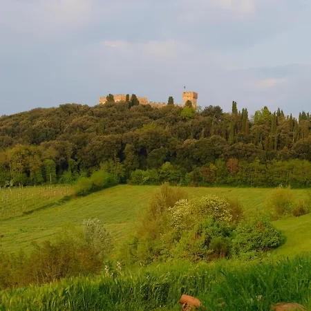 Ginestra * Poggibonsi