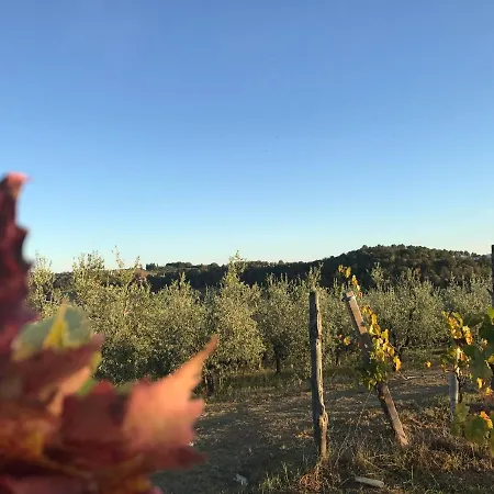 Appartement Ginestra