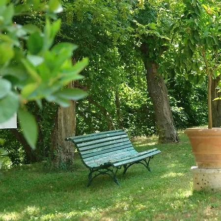 Ginestra * Poggibonsi