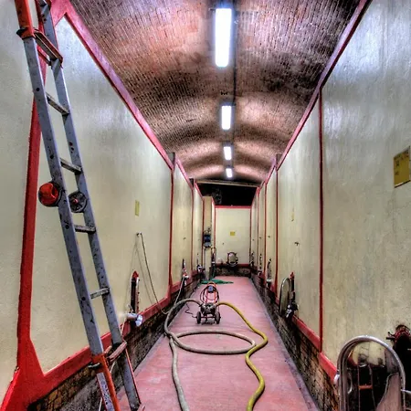 Ginestra Lägenhet *