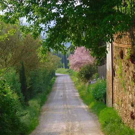 Lägenhet Ginestra Poggibonsi