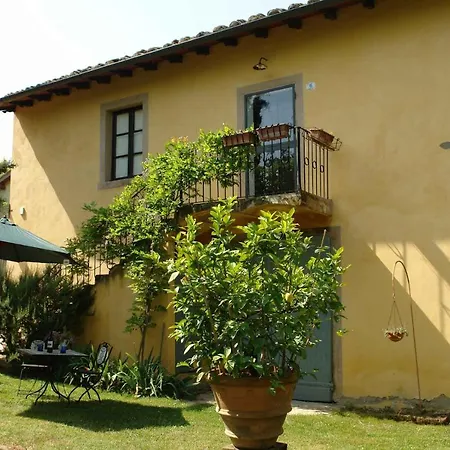 Ginestra * Poggibonsi