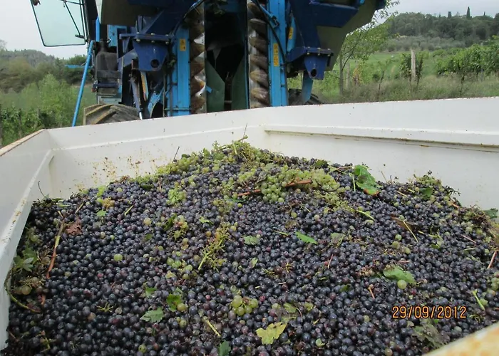 Ginestra Apartament *