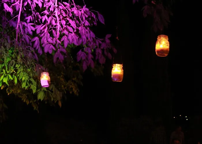 Ginestra * Poggibonsi