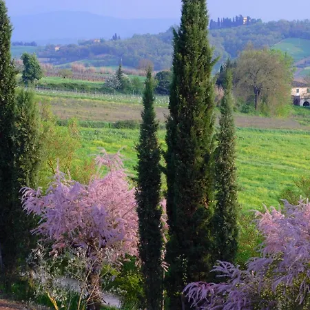 Ginestra Poggibonsi