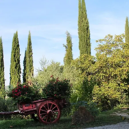 Ginestra Poggibonsi