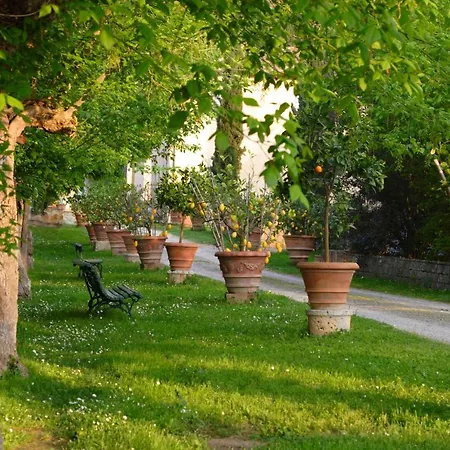 Apartment Ginestra