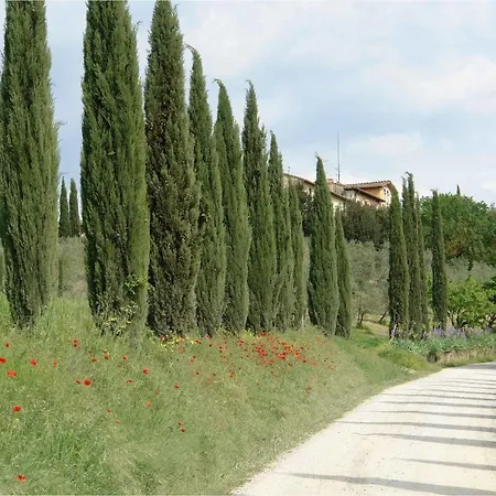 Ginestra