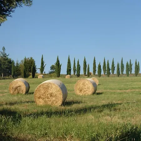 Apartment Ginestra